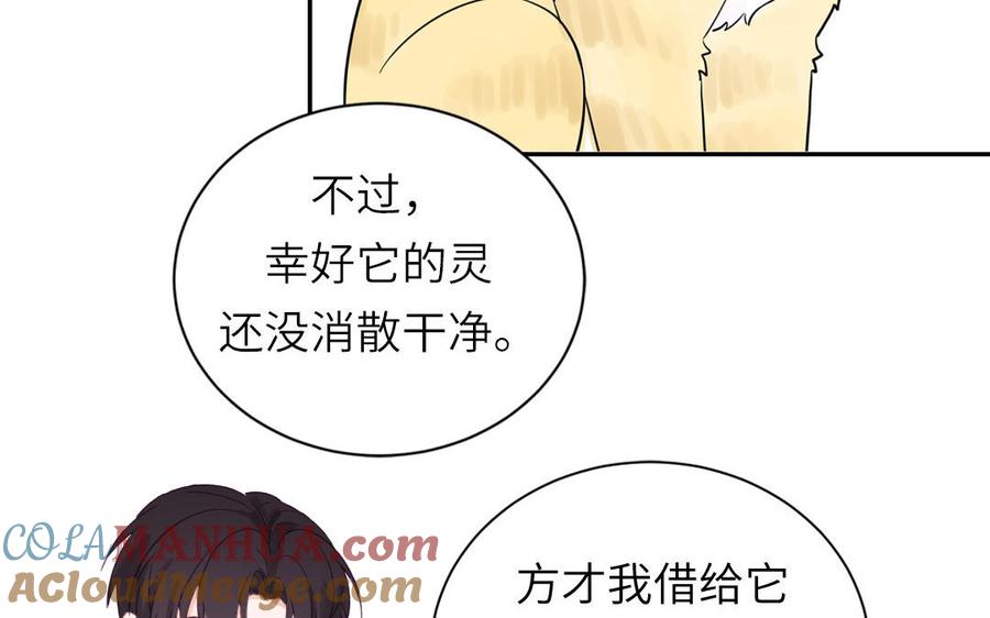 97.jpg