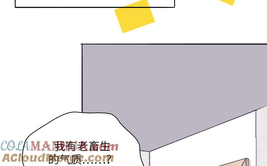 46.jpg