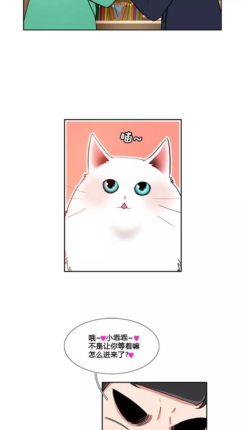 第70话-ICE-Cold要员的捡猫事件-漫拍拍 金耶琳 张流拉（第8张）