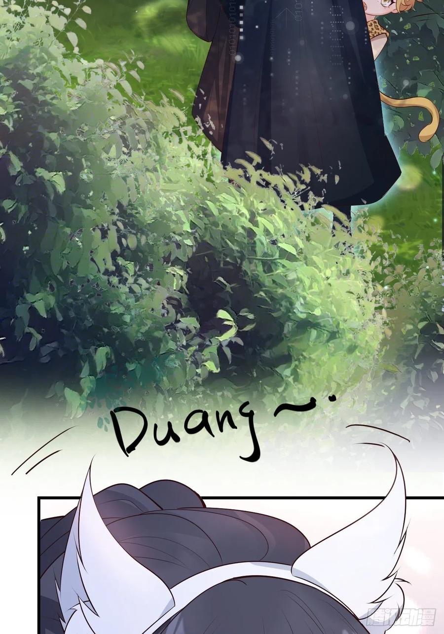 27.jpg