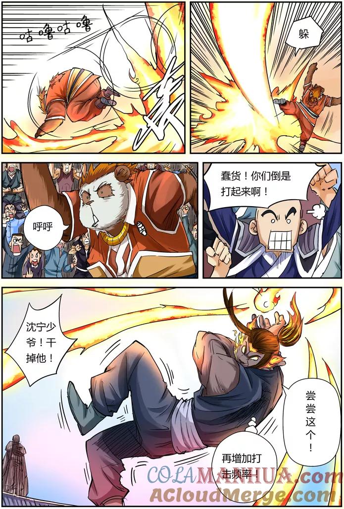 17.jpg