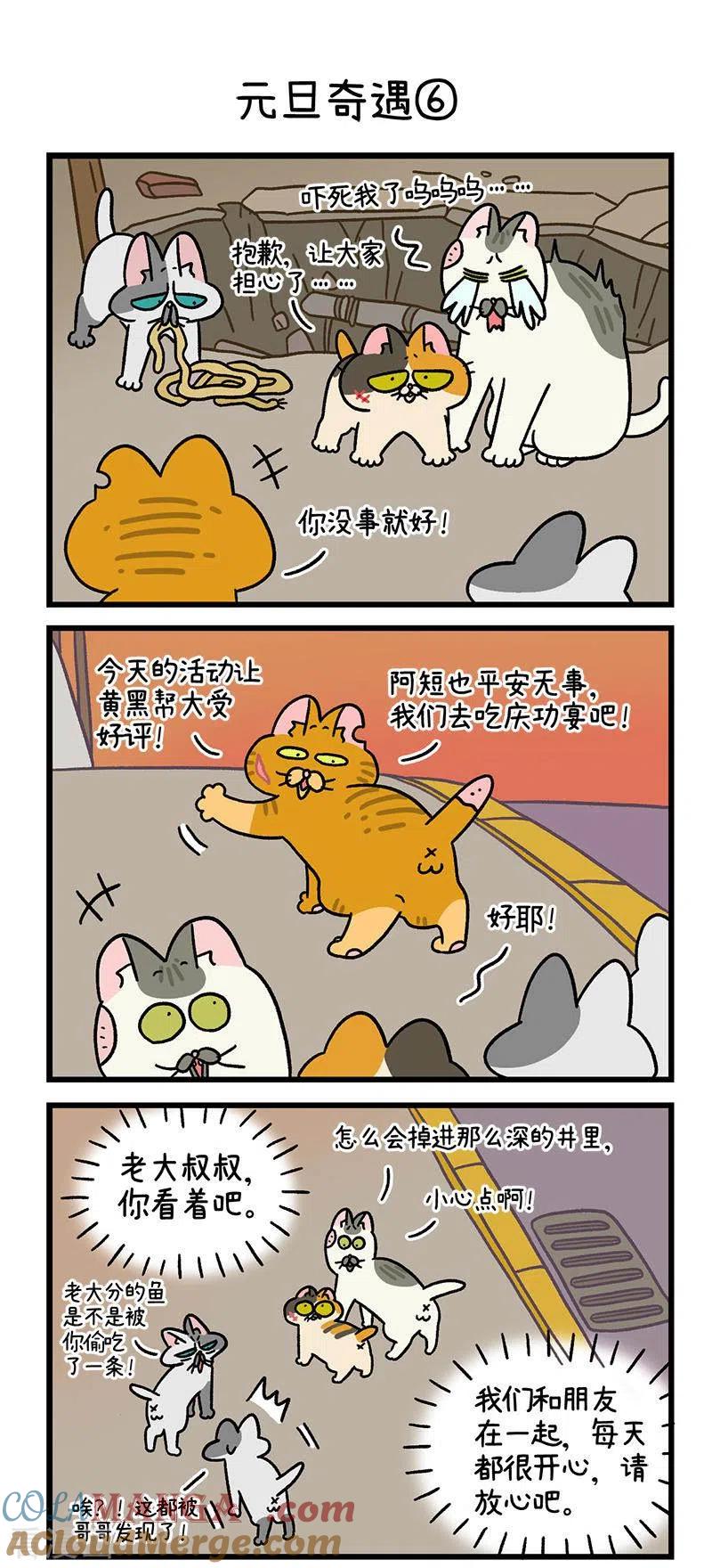 番外13下元旦奇遇-阿满和麦茶-新漫画 日胖大海寺（第4张）