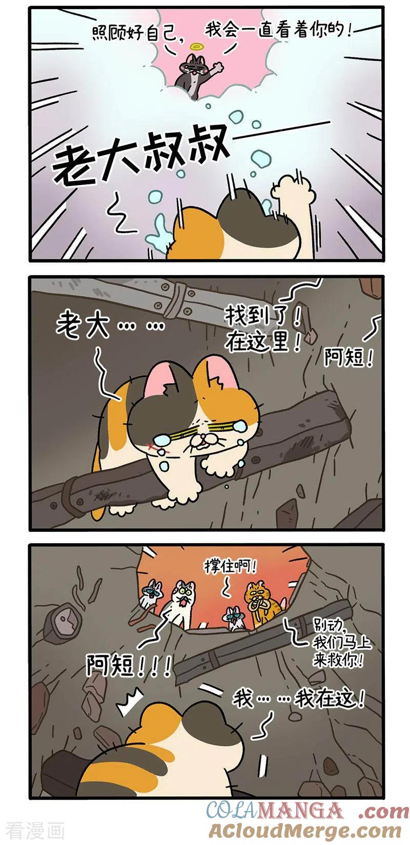 番外13下元旦奇遇-阿满和麦茶-新漫画 日胖大海寺（第3张）