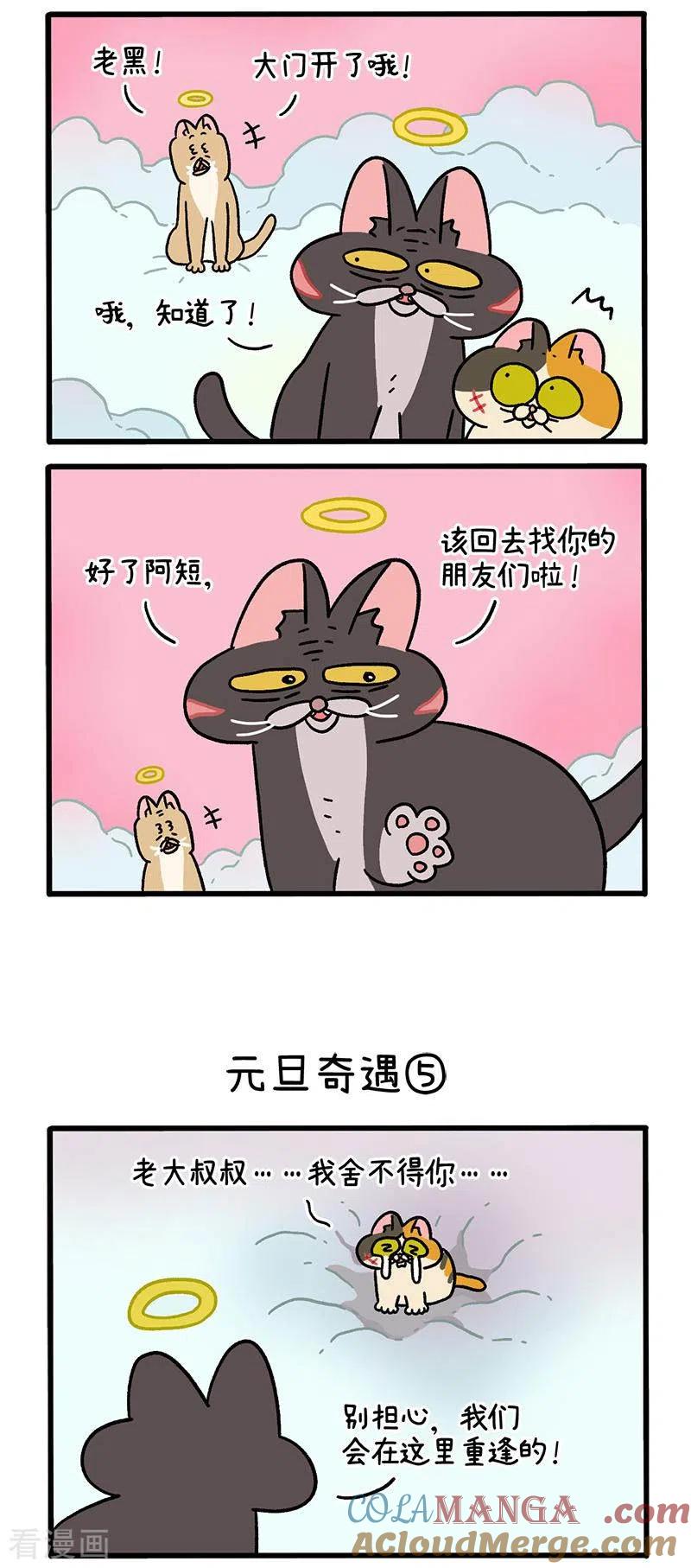 番外13下元旦奇遇-阿满和麦茶-新漫画 日胖大海寺（第2张）