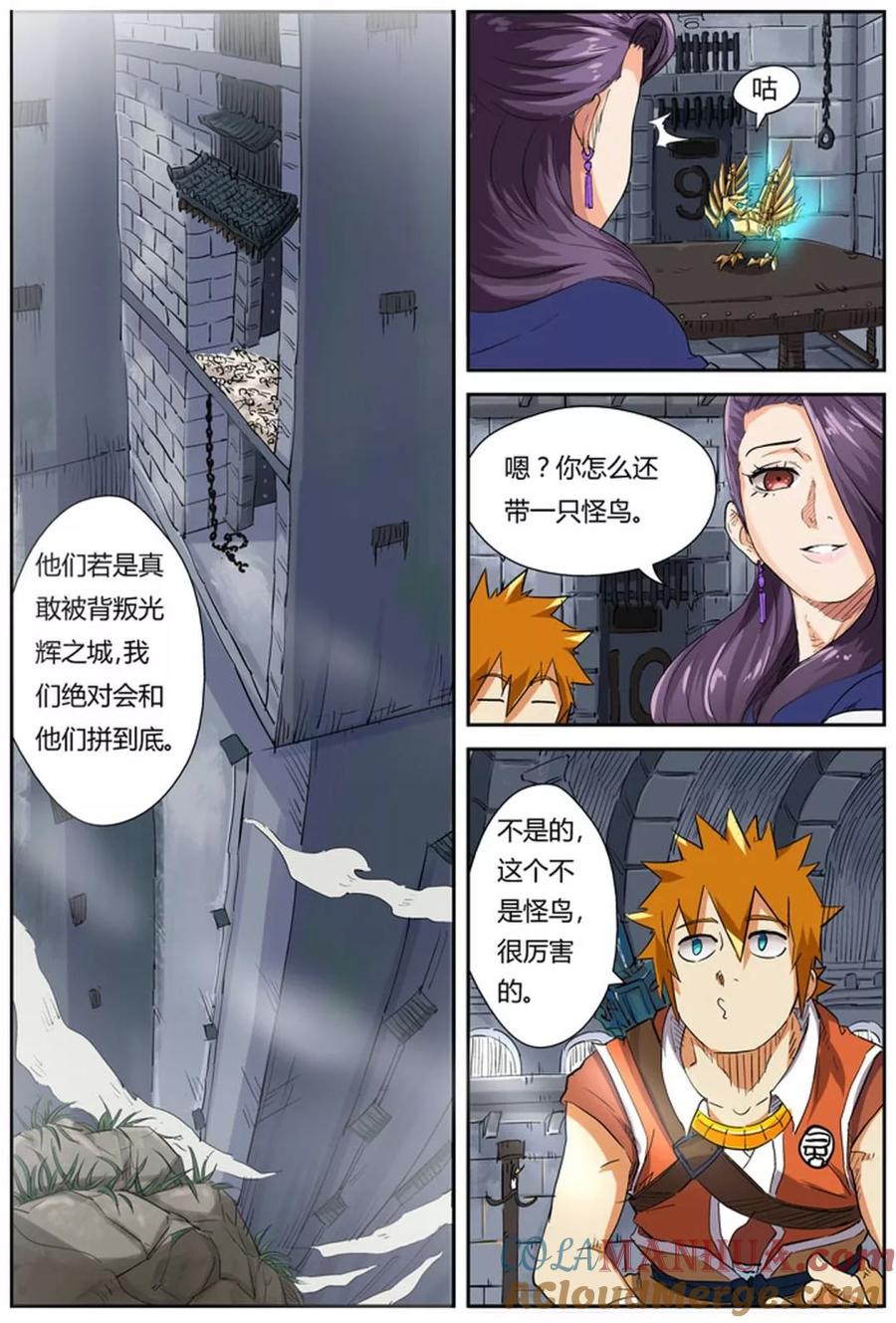 7.jpg