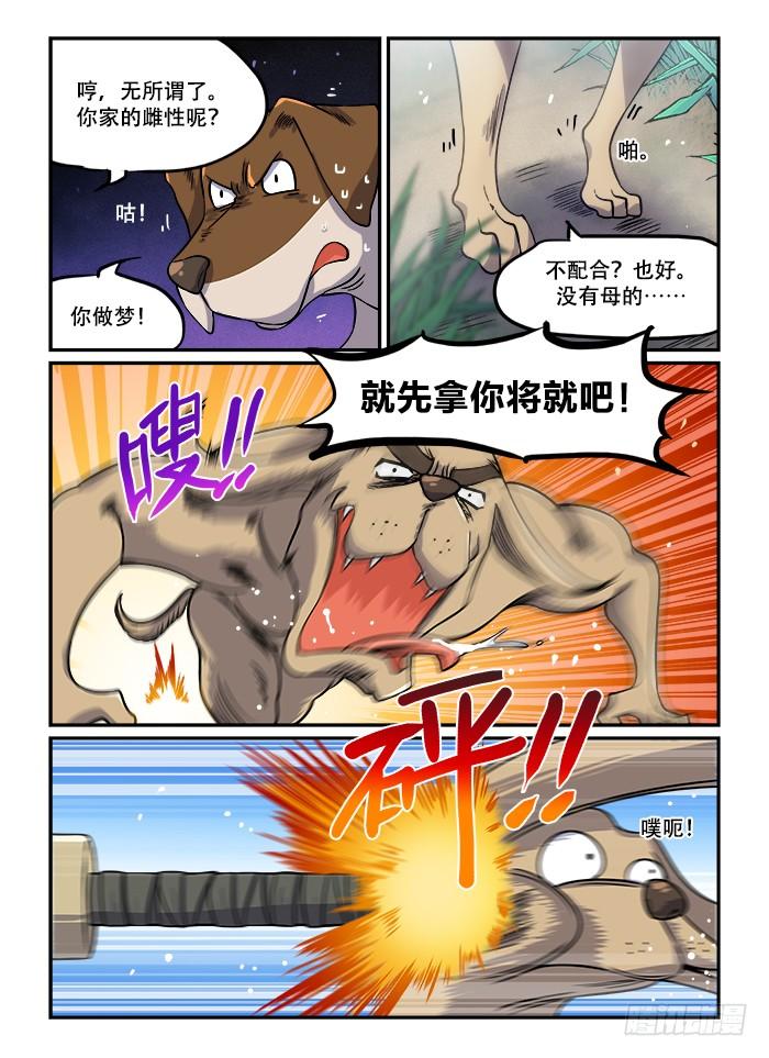 3.jpg