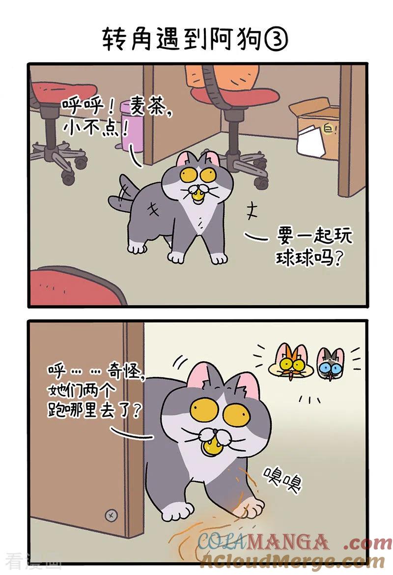 第71话1转角遇到阿狗-阿满和麦茶-新漫画 日胖大海寺（第4张）