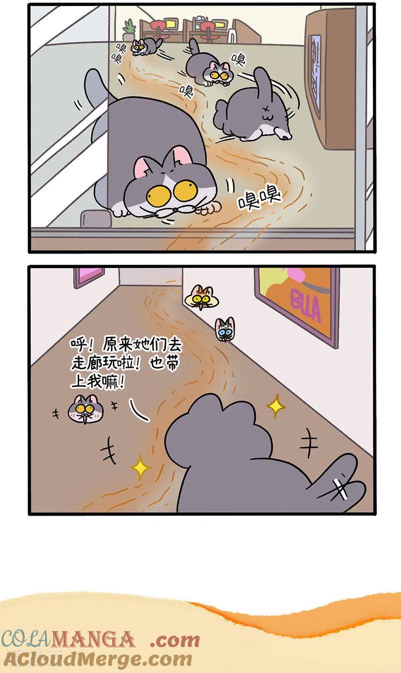 第71话1转角遇到阿狗-阿满和麦茶-新漫画 日胖大海寺（第5张）
