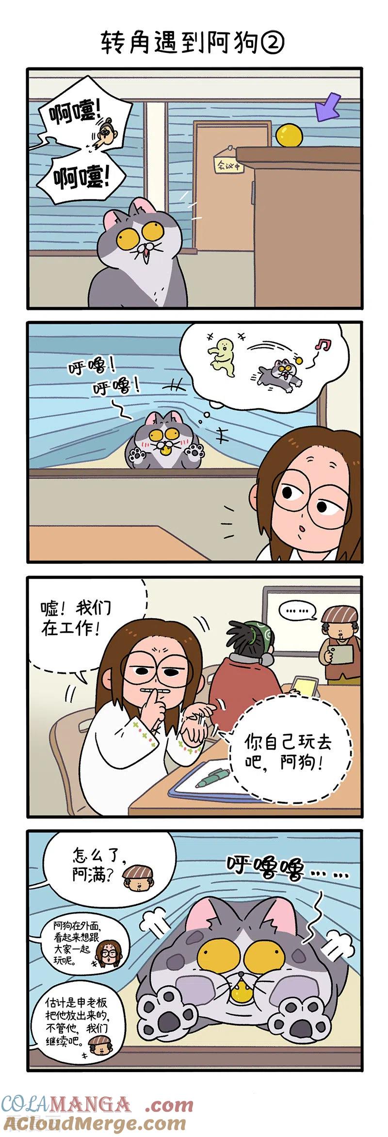 第71话1转角遇到阿狗-阿满和麦茶-新漫画 日胖大海寺（第3张）