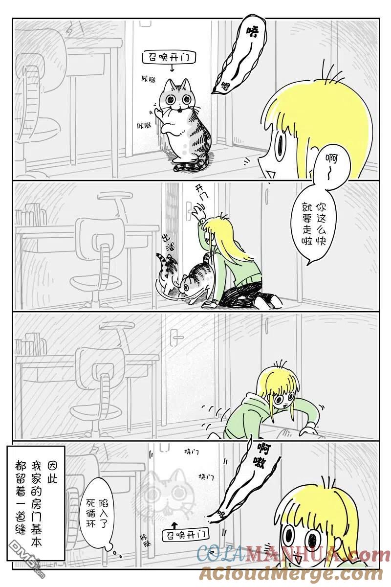 第136话-关于养猫我一直是新手-キュルZ（第1张）