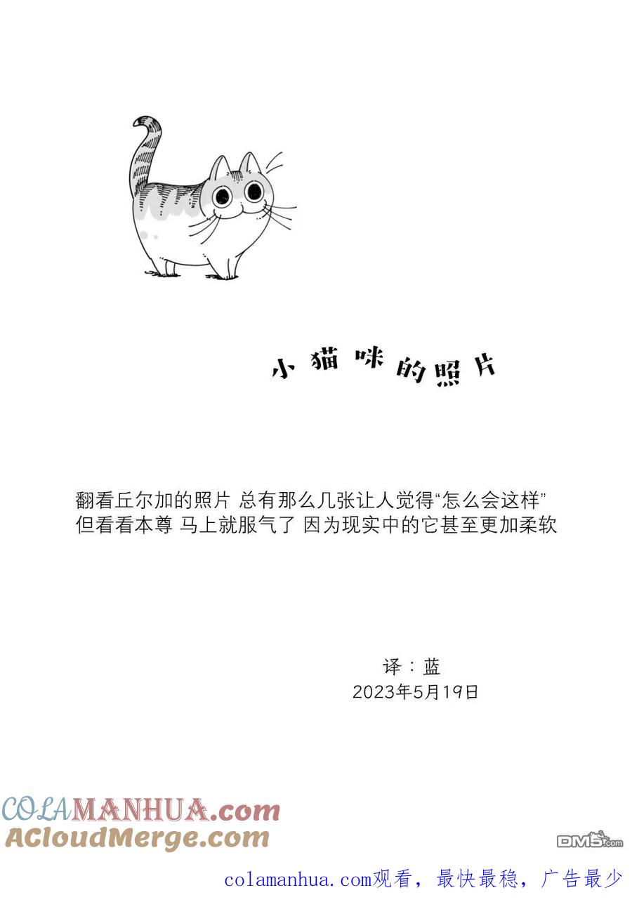 第167话-关于养猫我一直是新手-キュルZ（第3张）