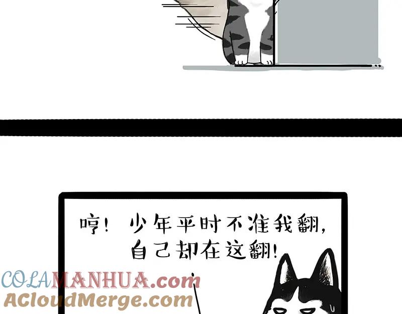 5.jpg