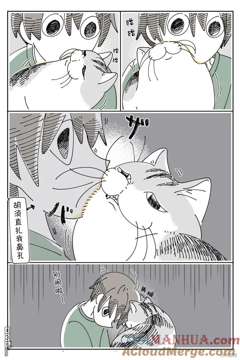 第178话-关于养猫我一直是新手-キュルZ（第1张）
