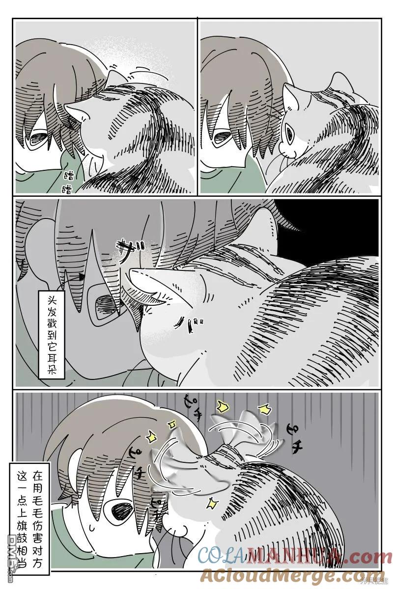 第178话-关于养猫我一直是新手-キュルZ（第2张）