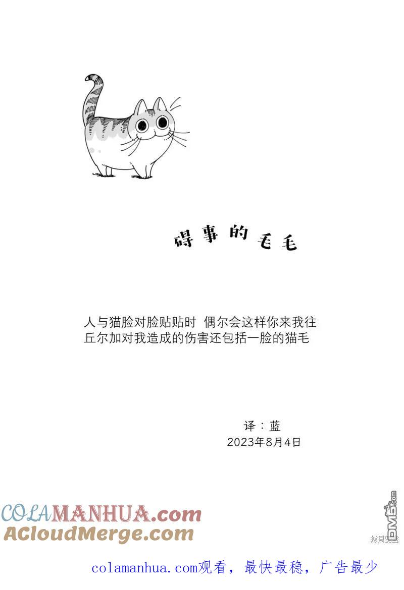 第178话-关于养猫我一直是新手-キュルZ（第3张）