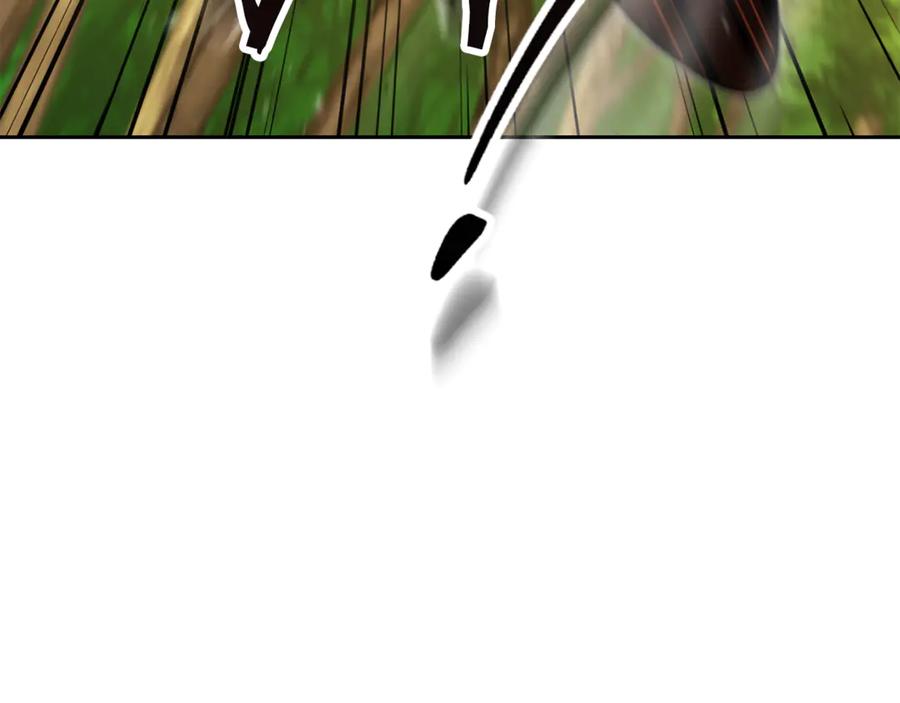 206.jpg