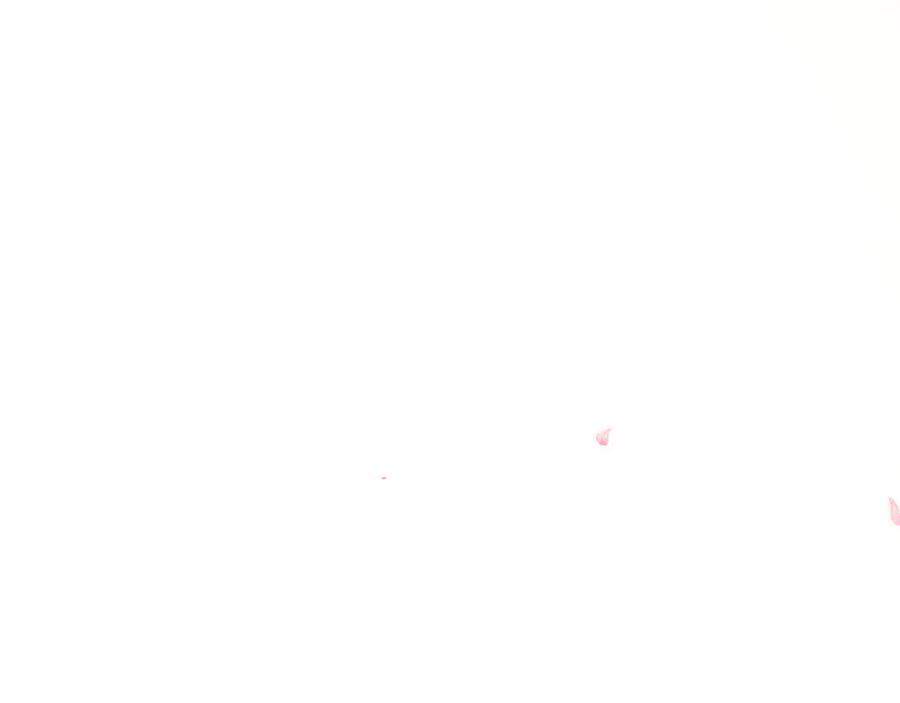 144.jpg