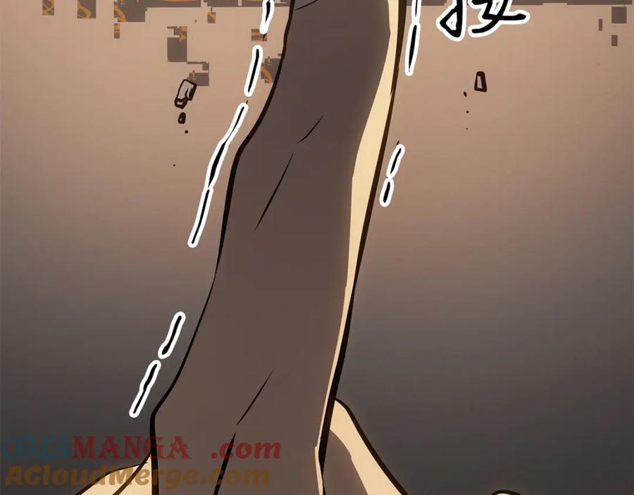 269.jpg