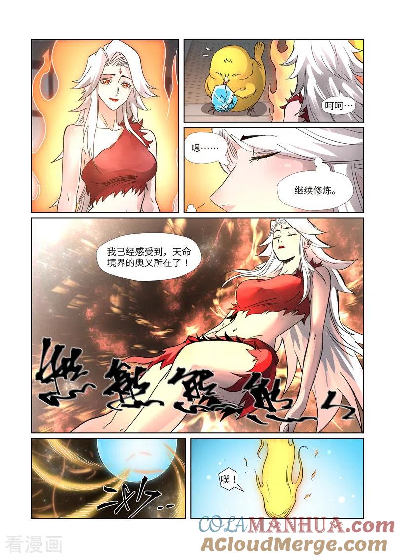 8.jpg