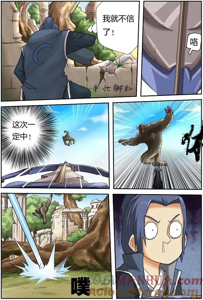 7.jpg