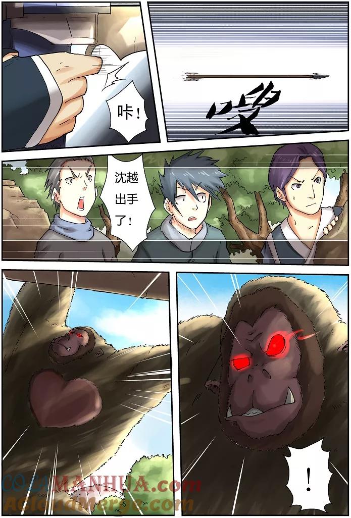 5.jpg