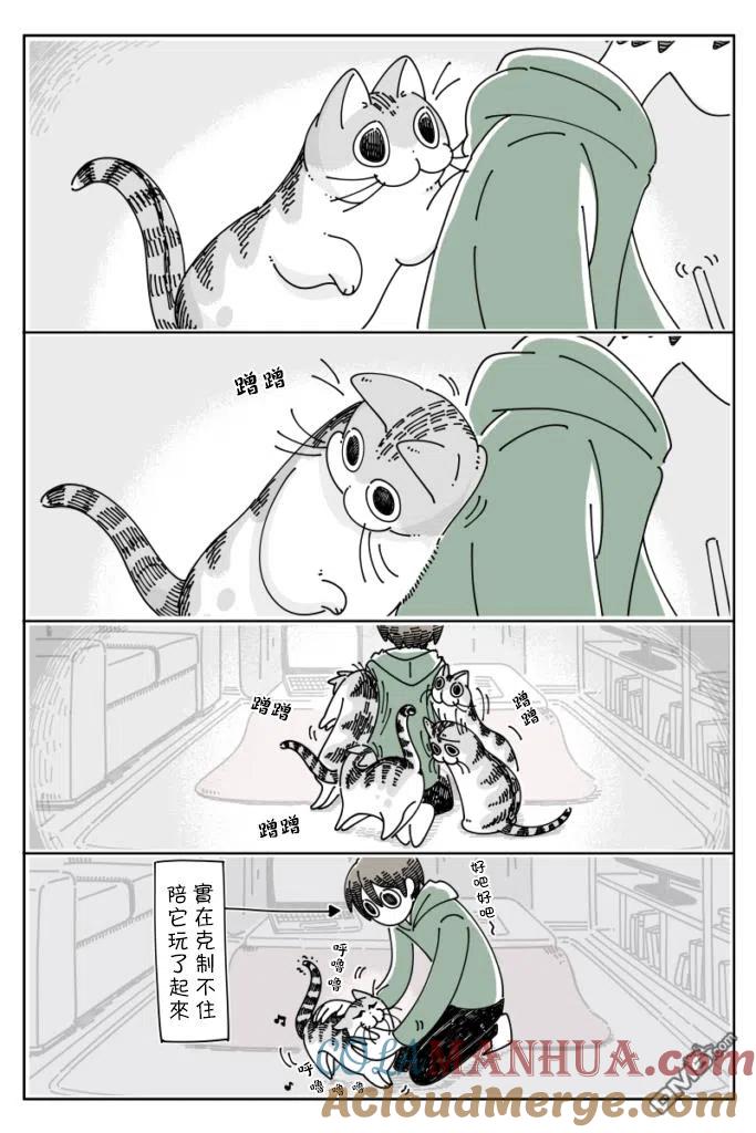 第54话-关于养猫我一直是新手-キュルZ（第2张）
