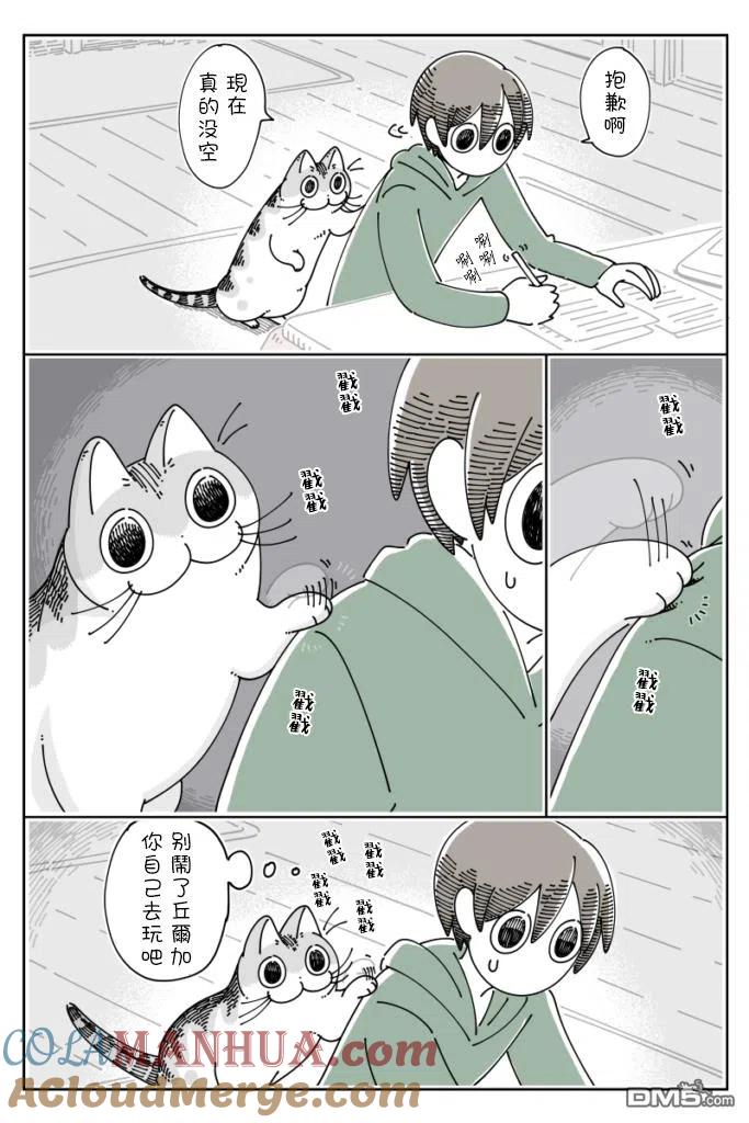 第54话-关于养猫我一直是新手-キュルZ（第1张）