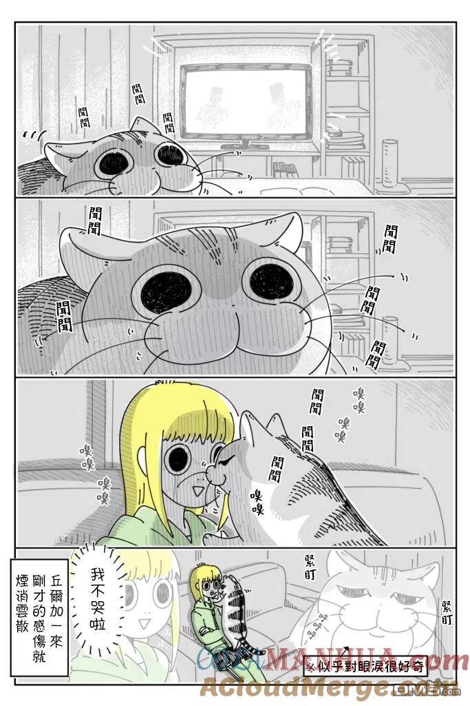 第55话-关于养猫我一直是新手-キュルZ（第1张）