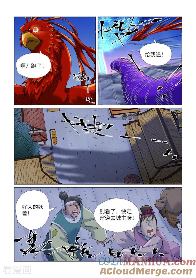 6.jpg