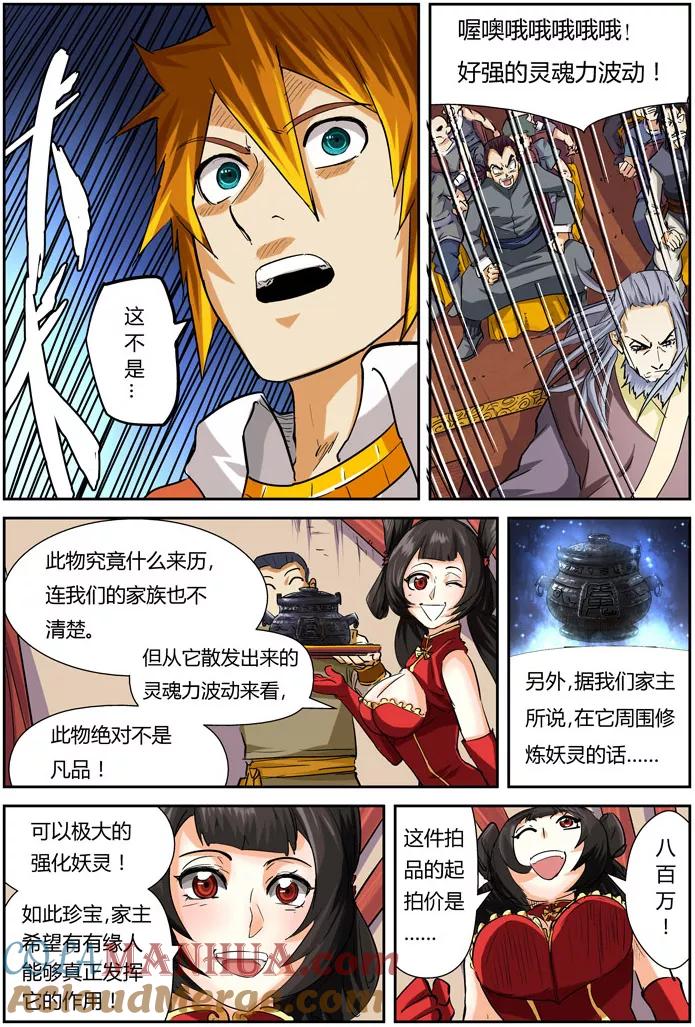 11.jpg