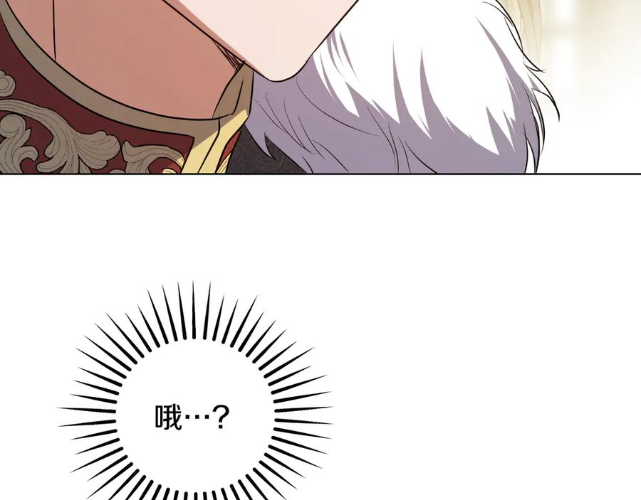 146.jpg