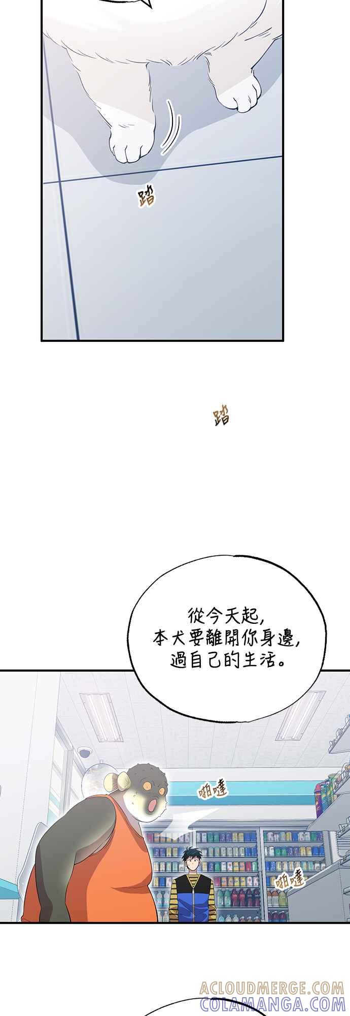40.jpg