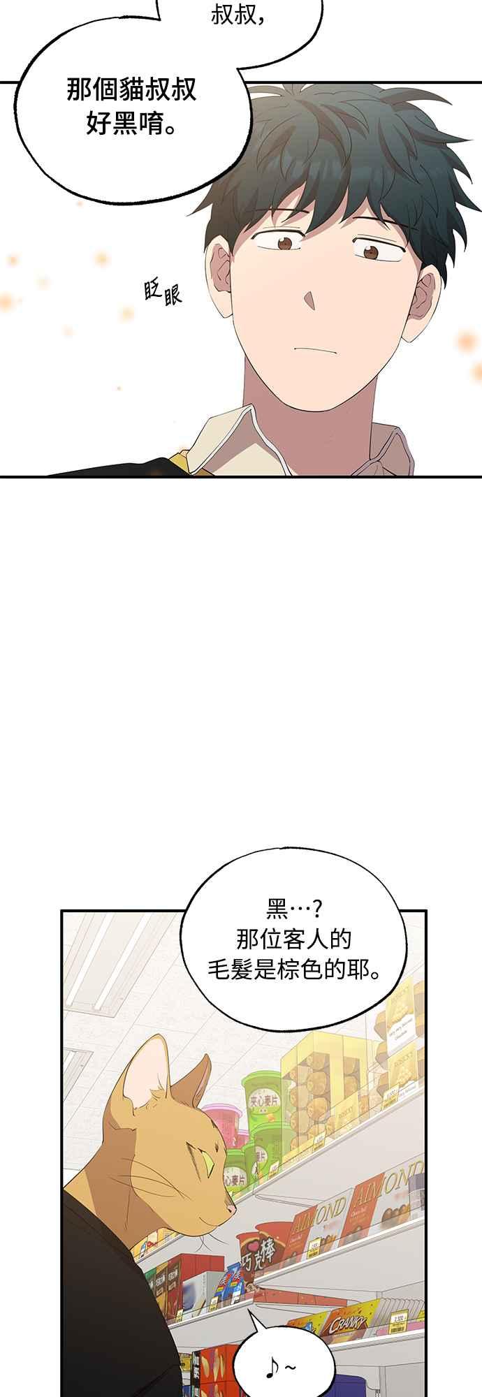 29.jpg