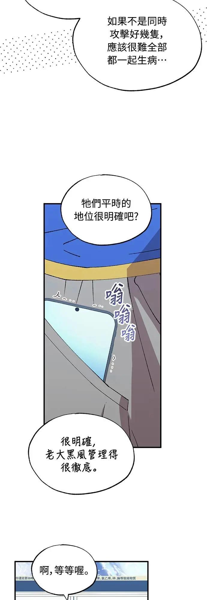 41.jpg