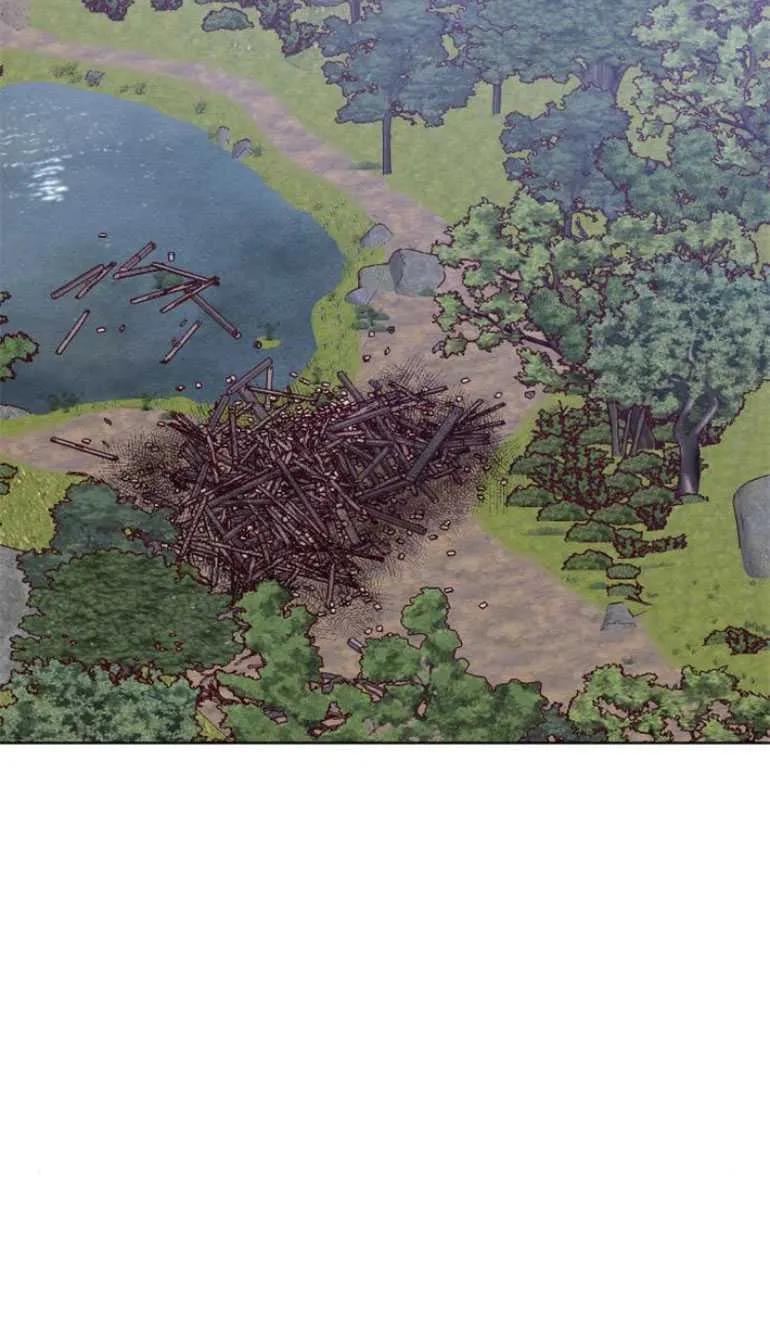 75.jpg