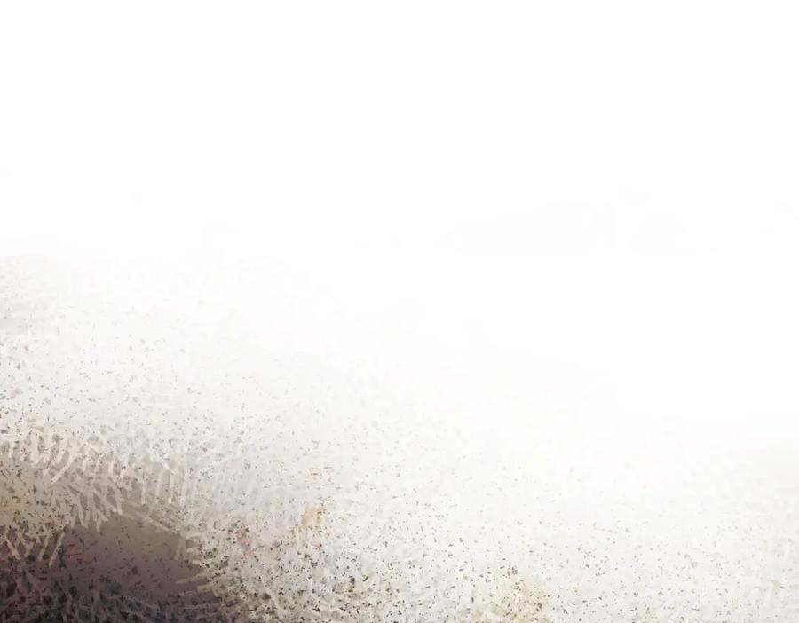 212.jpg