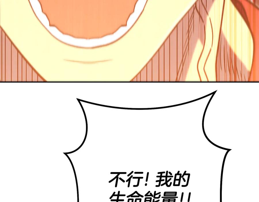 114.jpg