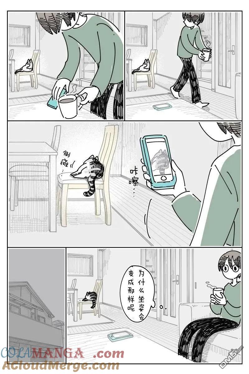 第243话-关于养猫我一直是新手-キュルZ（第1张）