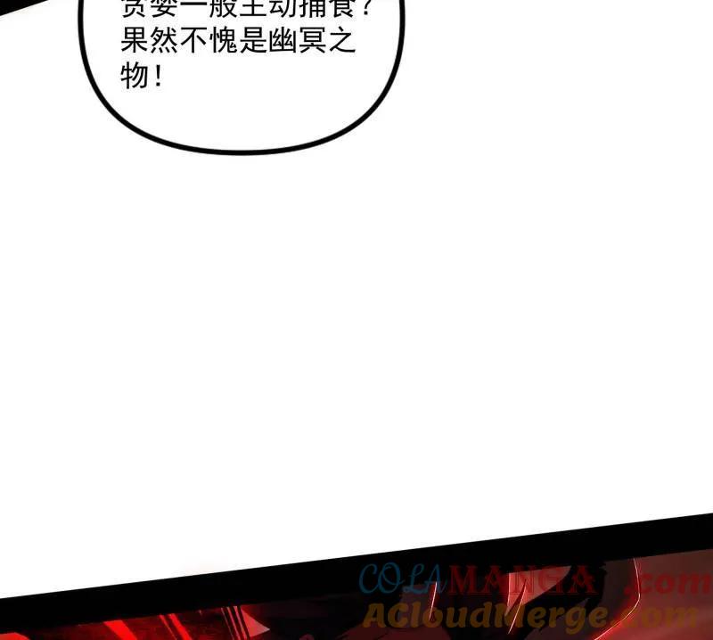 113.jpg