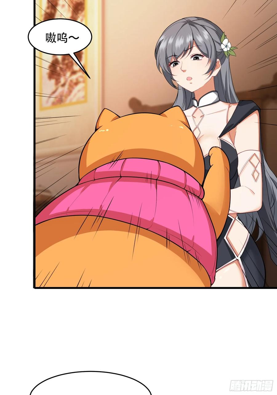41.jpg