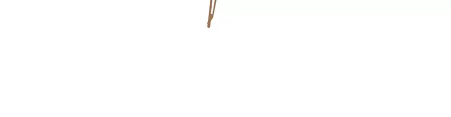 62.jpg