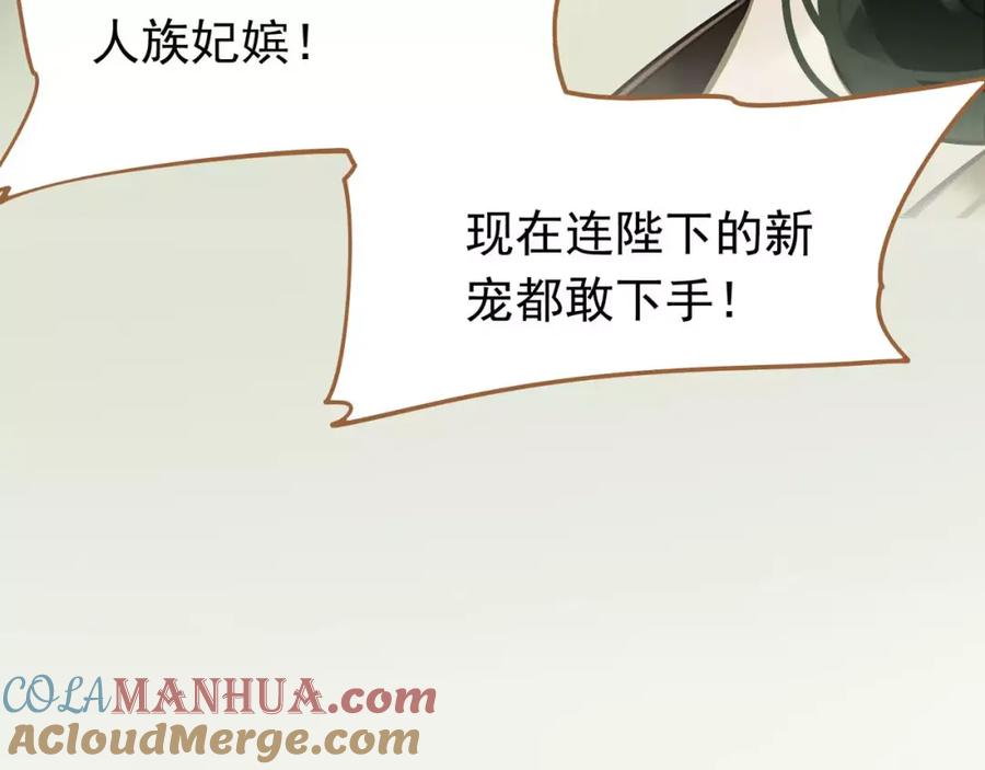 137.jpg
