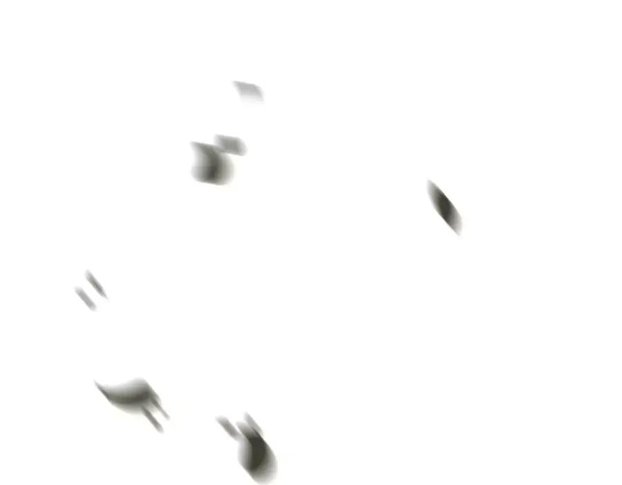 87.jpg