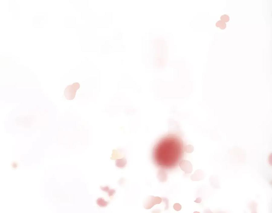 102.jpg