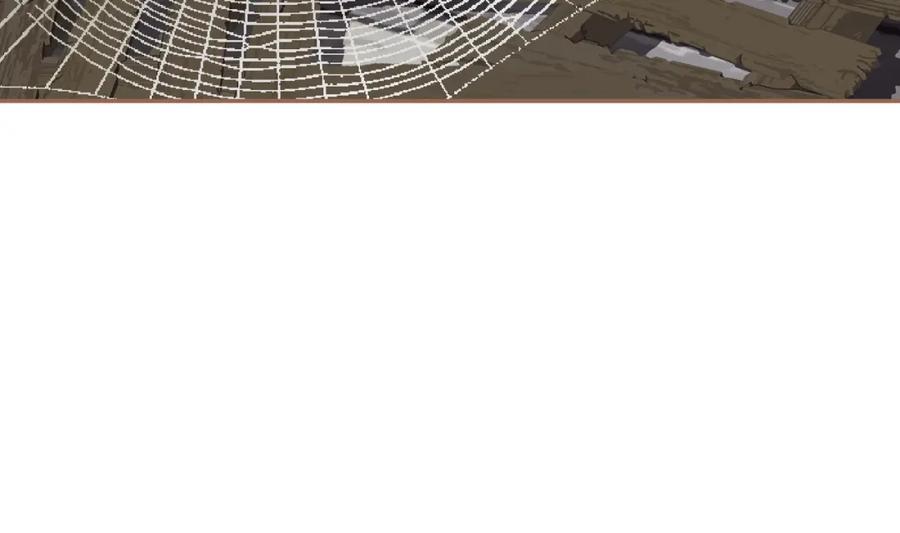 74.jpg