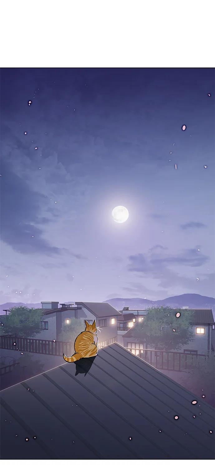 第364话-觉醒吧，铲屎官！-孙齐皓,ZHENA（第35张）