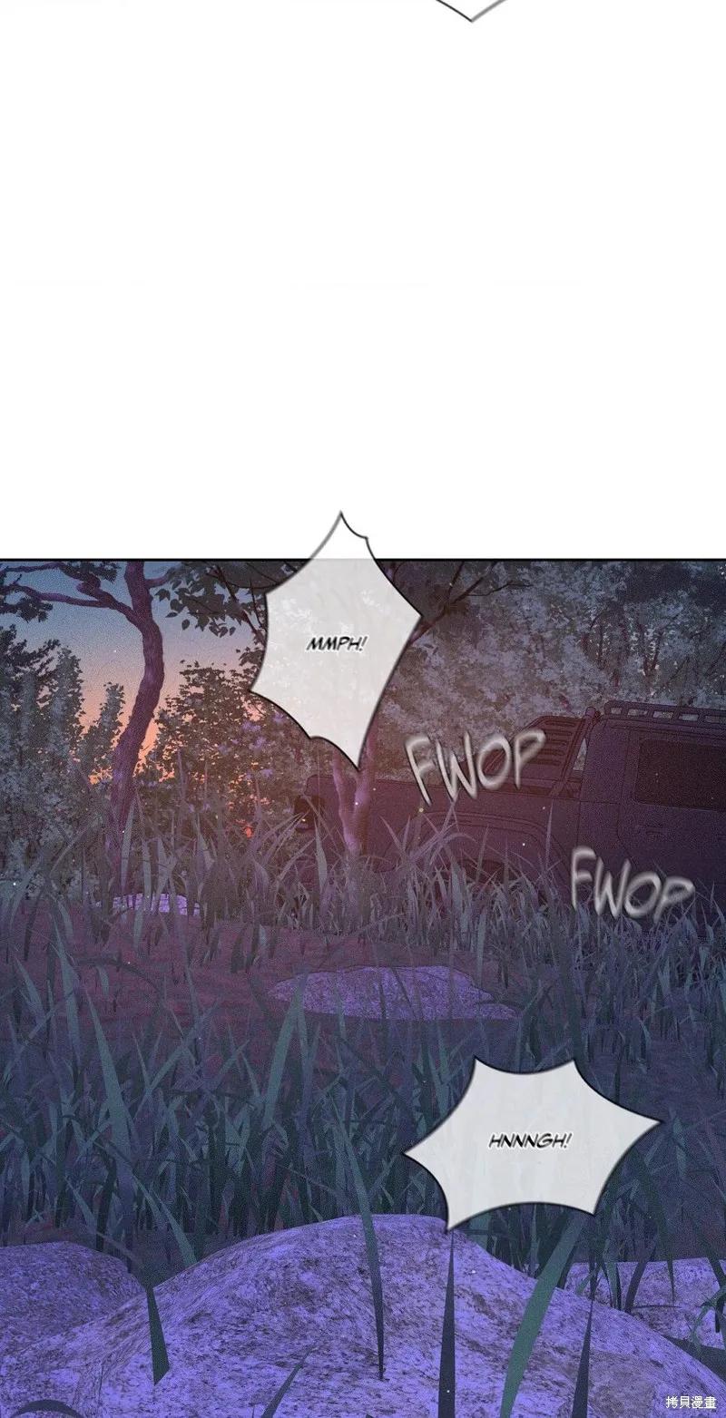 72.jpg