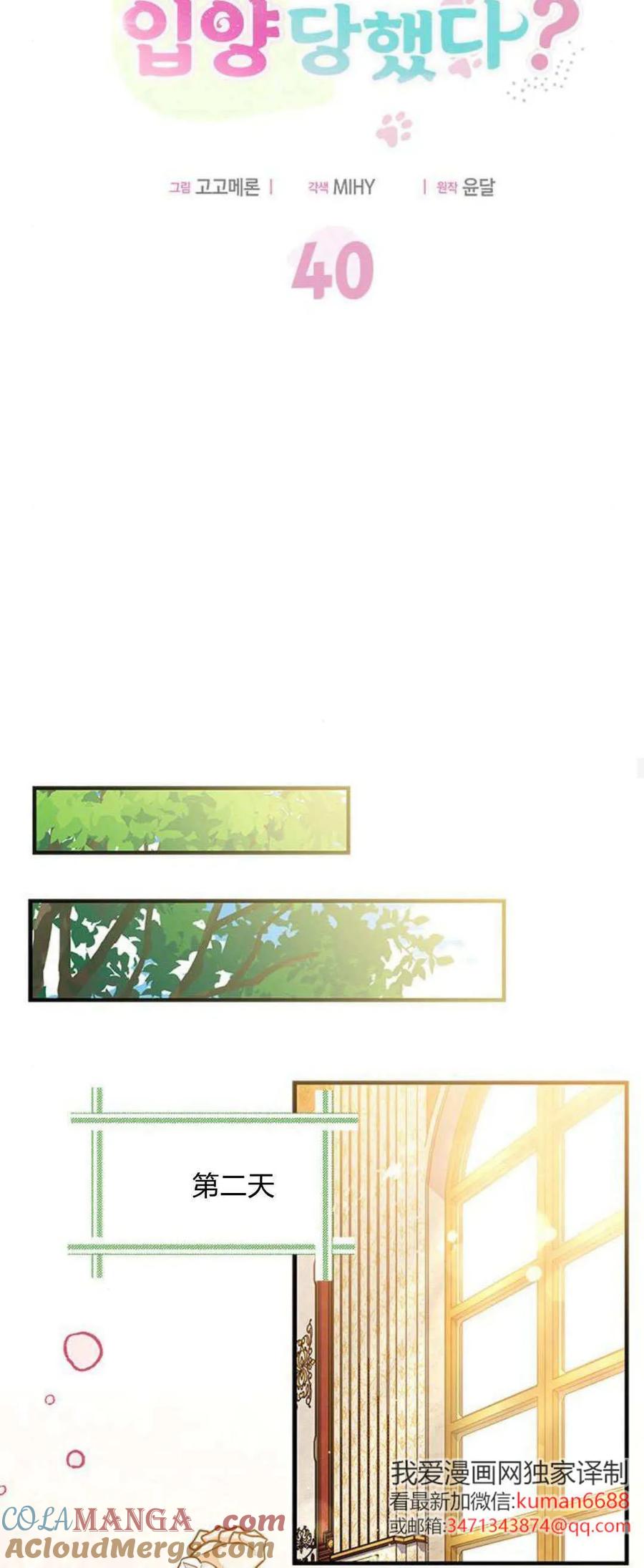 第40话-明明是猫，却被狼族收养了？-노찬주（第13张）