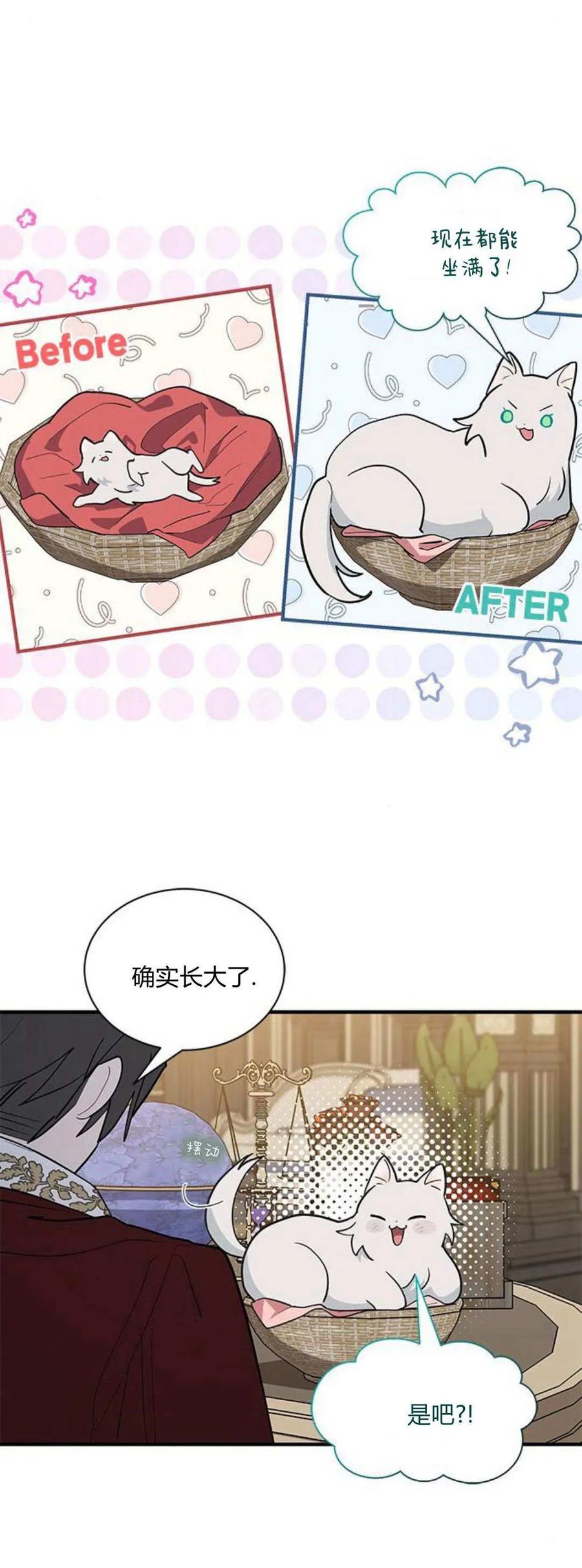 第41话-明明是猫，却被狼族收养了？-노찬주（第6张）