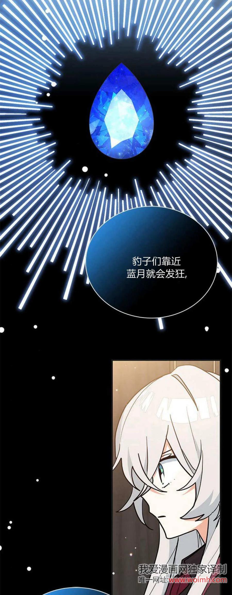 第41话-明明是猫，却被狼族收养了？-노찬주（第18张）